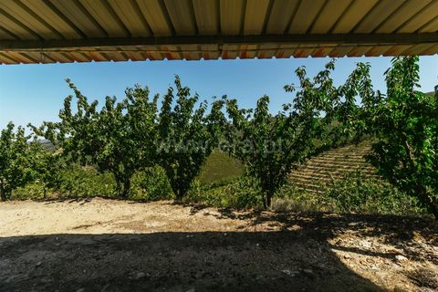 Helårsgrund i Fundao, Castelo Branco, Fundao - € 350.000 | Ref: 111230132 - foto 7