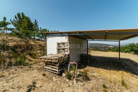 Helårsgrund i Fundao, Castelo Branco, Fundao - € 350.000 | Ref: 111230132 - foto 9