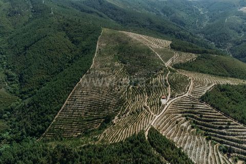 Helårsgrund i Fundao, Castelo Branco, Fundao - € 350.000 | Ref: 111230132 - foto 11