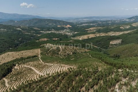 Helårsgrund i Fundao, Castelo Branco, Fundao - € 350.000 | Ref: 111230132 - foto 13