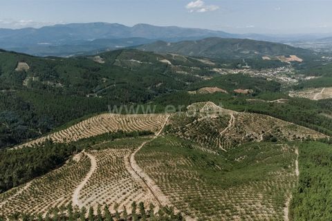 Helårsgrund i Fundao, Castelo Branco, Fundao - € 350.000 | Ref: 111230132 - foto 14