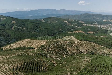 Helårsgrund i Fundao, Castelo Branco, Fundao - € 350.000 | Ref: 111230132 - foto 15