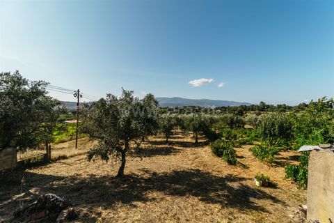 Helårsgrund i Fundao, Castelo Branco, Fundao - € 32.500 | Ref: 111230135 - foto 1