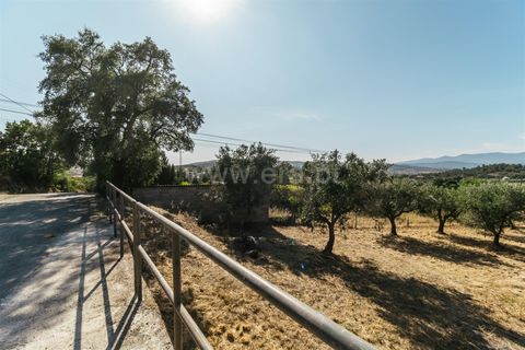 Helårsgrund i Fundao, Castelo Branco, Fundao - € 32.500 | Ref: 111230135 - foto 2