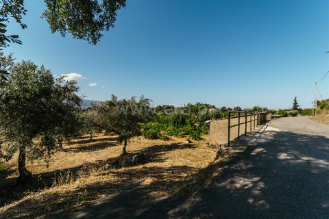 Helårsgrund i Fundao, Castelo Branco, Fundao - € 32.500 | Ref: 111230135 - foto 3