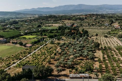 Helårsgrund i Fundao, Castelo Branco, Fundao - € 32.500 | Ref: 111230135 - foto 5
