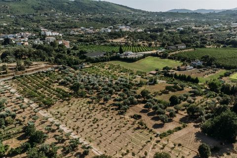 Helårsgrund i Fundao, Castelo Branco, Fundao - € 32.500 | Ref: 111230135 - foto 7