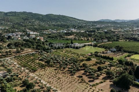 Helårsgrund i Fundao, Castelo Branco, Fundao - € 32.500 | Ref: 111230135 - foto 8