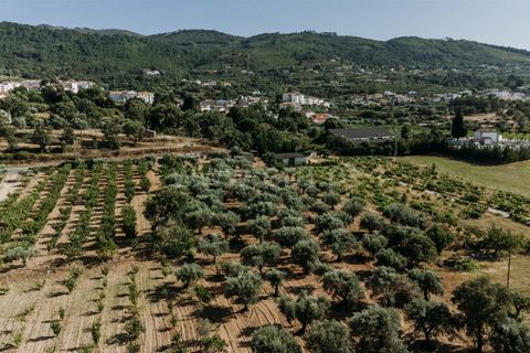 Helårsgrund i Fundao, Castelo Branco, Fundao - € 32.500 | Ref: 111230135 - foto 9