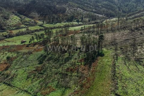 Villa a Covilha, Castelo Branco, Covilha - € 45.000 | Ref: 111230185 - foto 11