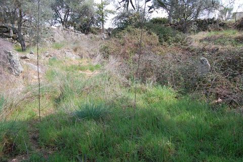 Byhus i Belmonte, Castelo Branco, Belmonte - € 19.300 | Ref: 111240026 - foto 3