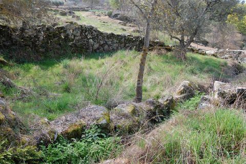 Byhus i Belmonte, Castelo Branco, Belmonte - € 19.300 | Ref: 111240026 - foto 5