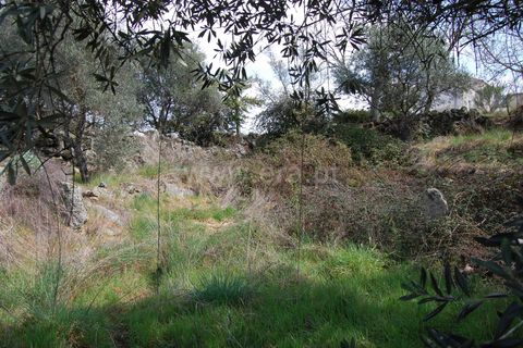 Byhus i Belmonte, Castelo Branco, Belmonte - € 19.300 | Ref: 111240026 - foto 6