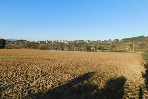 Helårsgrund i Belmonte, Castelo Branco, Belmonte - € 43.000 | Ref: 111100420 - foto 2