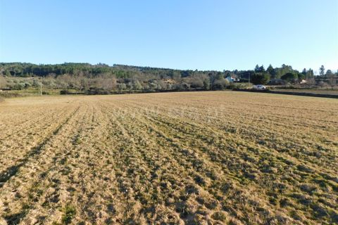 Helårsgrund i Belmonte, Castelo Branco, Belmonte - € 43.000 | Ref: 111100420 - foto 5