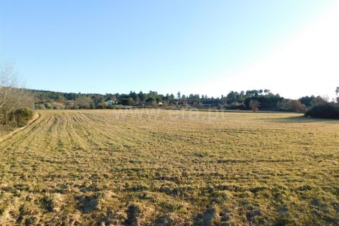 Helårsgrund i Belmonte, Castelo Branco, Belmonte - € 43.000 | Ref: 111100420 - foto 6