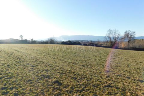 Helårsgrund i Belmonte, Castelo Branco, Belmonte - € 43.000 | Ref: 111100420 - foto 7
