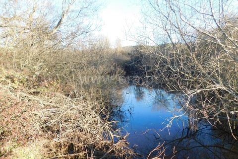 Helårsgrund i Belmonte, Castelo Branco, Belmonte - € 43.000 | Ref: 111100420 - foto 8