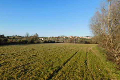 Helårsgrund i Belmonte, Castelo Branco, Belmonte - € 43.000 | Ref: 111100420 - foto 9