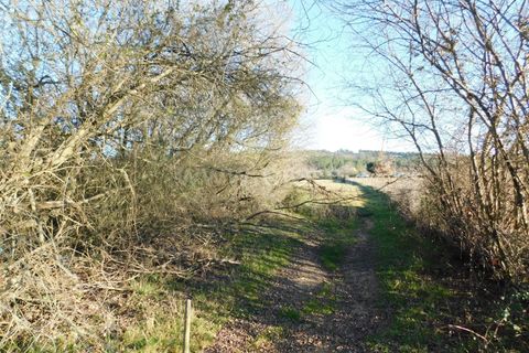 Helårsgrund i Belmonte, Castelo Branco, Belmonte - € 43.000 | Ref: 111100420 - foto 10