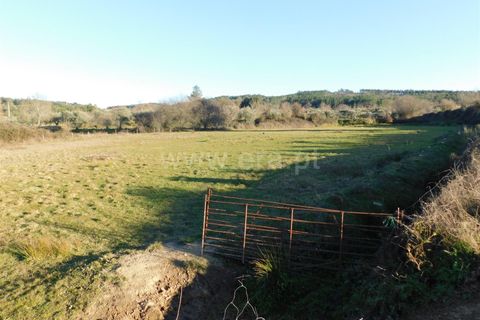 Helårsgrund i Belmonte, Castelo Branco, Belmonte - € 43.000 | Ref: 111100420 - foto 12