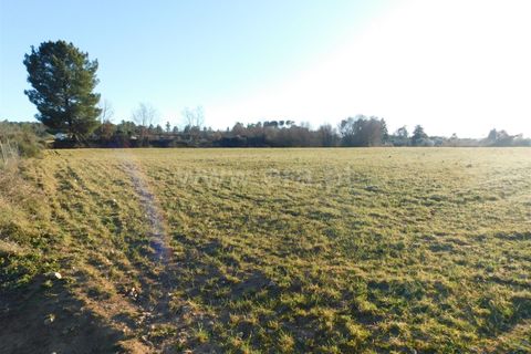 Helårsgrund i Belmonte, Castelo Branco, Belmonte - € 43.000 | Ref: 111100420 - foto 13