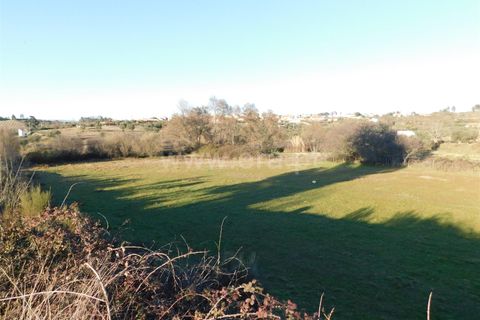 Helårsgrund i Belmonte, Castelo Branco, Belmonte - € 43.000 | Ref: 111100420 - foto 14