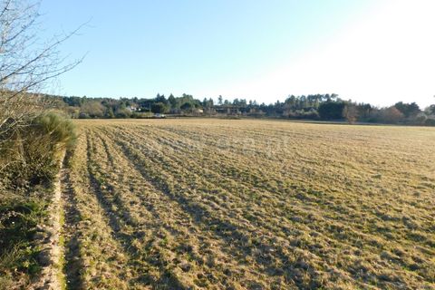 Helårsgrund i Belmonte, Castelo Branco, Belmonte - € 43.000 | Ref: 111100420 - foto 15