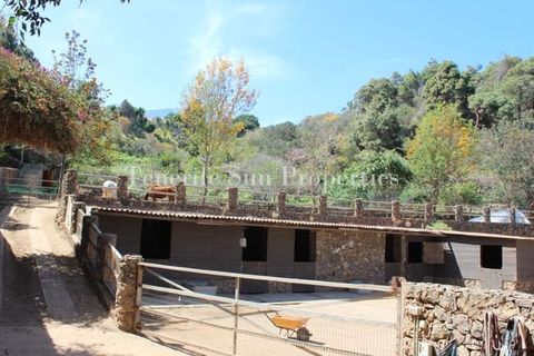 Finca i La Guancha, Tenerife, La Guancha - € 1.200.000 | Ref: 176155 - foto 7