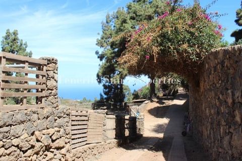 Finca i La Guancha, Tenerife, La Guancha - € 1.200.000 | Ref: 176155 - foto 9