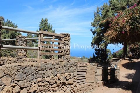 Finca i La Guancha, Tenerife, La Guancha - € 1.200.000 | Ref: 176155 - foto 10