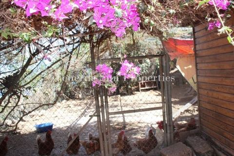 Finca i La Guancha, Tenerife, La Guancha - € 1.200.000 | Ref: 176155 - foto 11