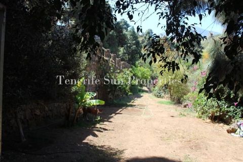Finca i La Guancha, Tenerife, La Guancha - € 1.200.000 | Ref: 176155 - foto 12