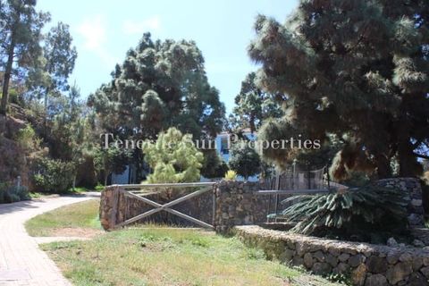Finca i La Guancha, Tenerife, La Guancha - € 1.200.000 | Ref: 176155 - foto 13