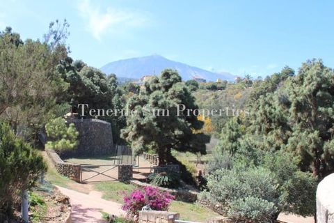 Finca i La Guancha, Tenerife, La Guancha - € 1.200.000 | Ref: 176155 - foto 14