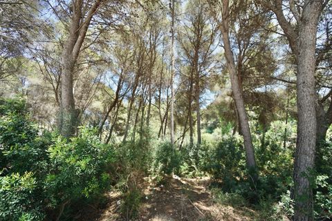 Helårsgrund i Moraira, Alicante, Moraira - € 580.000 | Ref: G-1633-AMB - foto 6