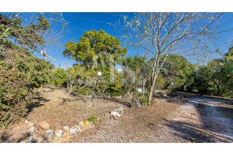 Villa i Mafra, Lisbon, Mafra - € 1.190.000 | Ref: V22032 - foto 34