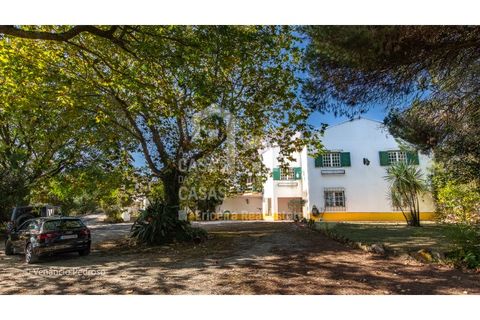 Villa i Mafra, Lisbon, Mafra - € 1.190.000 | Ref: V22032 - foto 35