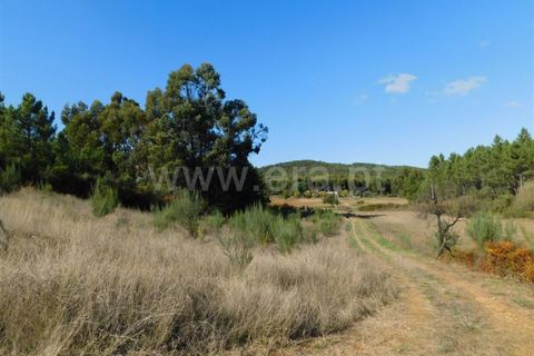 Helårsgrund i Fundao, Castelo Branco, Fundao - € 12.500 | Ref: 255180285 - foto 2