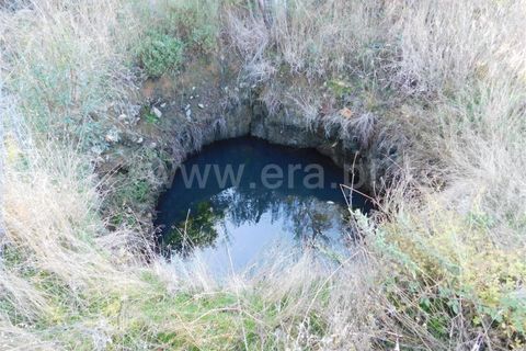 Helårsgrund i Fundao, Castelo Branco, Fundao - € 12.500 | Ref: 255180285 - foto 5