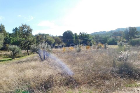 Helårsgrund i Fundao, Castelo Branco, Fundao - € 12.500 | Ref: 255180285 - foto 7