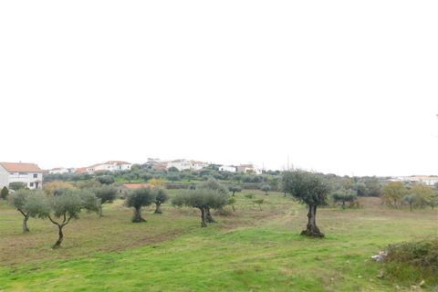 Farm i Fundao, Castelo Branco, Fundao - € 200.000 | Ref: 255180293 - foto 3