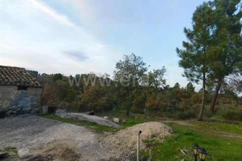 Farm i Fundao, Castelo Branco, Fundao - € 200.000 | Ref: 255180293 - foto 4