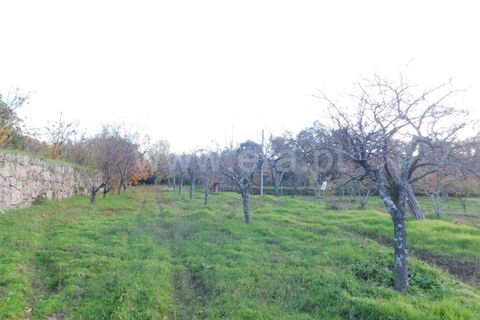 Farm i Fundao, Castelo Branco, Fundao - € 200.000 | Ref: 255180293 - foto 8