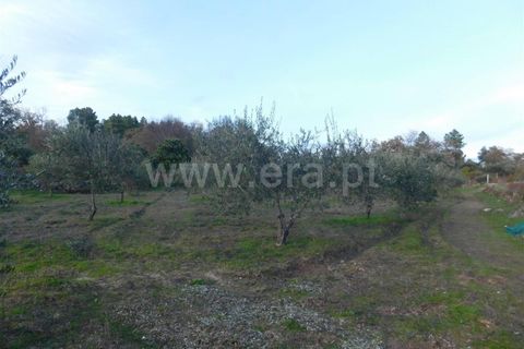 Farm i Fundao, Castelo Branco, Fundao - € 200.000 | Ref: 255180293 - foto 9