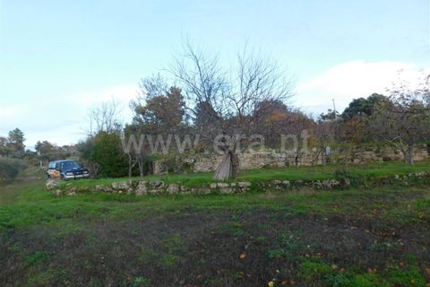 Farm i Fundao, Castelo Branco, Fundao - € 200.000 | Ref: 255180293 - foto 10