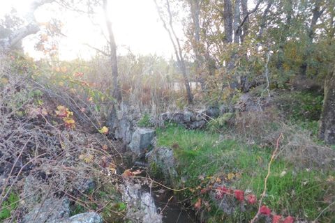 Farm i Fundao, Castelo Branco, Fundao - € 200.000 | Ref: 255180293 - foto 12