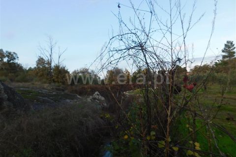 Farm i Fundao, Castelo Branco, Fundao - € 200.000 | Ref: 255180293 - foto 13
