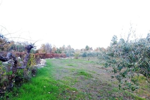 Farm i Fundao, Castelo Branco, Fundao - € 200.000 | Ref: 255180293 - foto 14