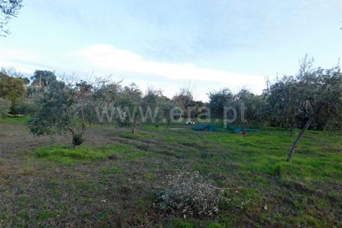 Farm i Fundao, Castelo Branco, Fundao - € 200.000 | Ref: 255180293 - foto 16